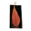 Pendent 11_Resin and Autumn leaf from Utah 2.5" tall $30