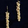 23_ long tiny white glass balls chain with gold plated wire, 14K gold filled ear wire, 2"  $35